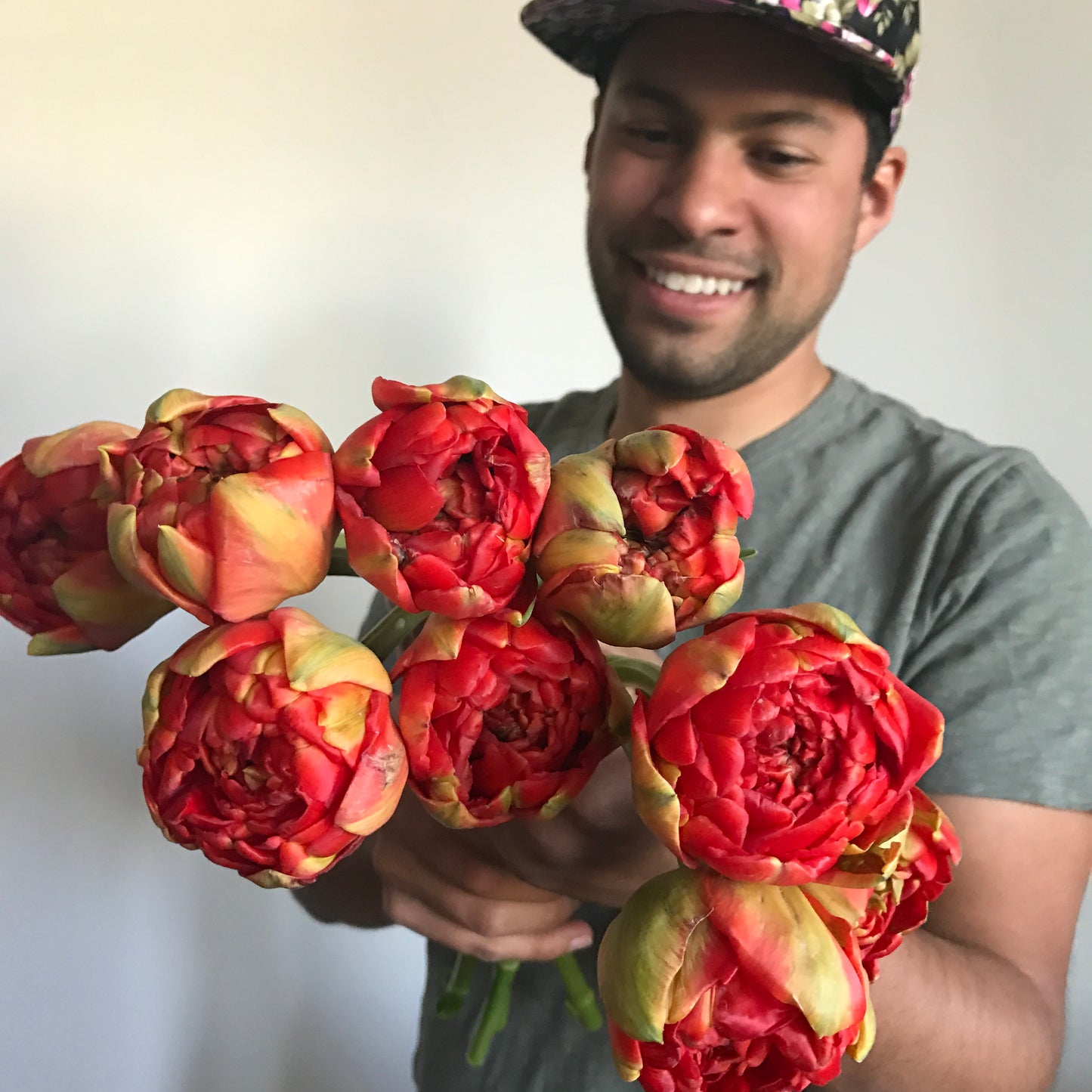 Tulip Gudoshnik Double Pack of 20