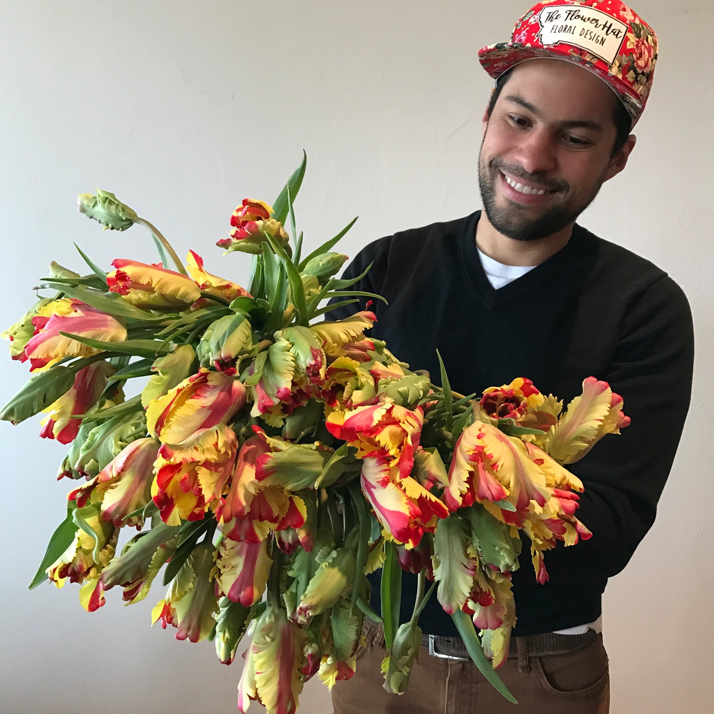 Tulip Flaming Parrot Pack of 20