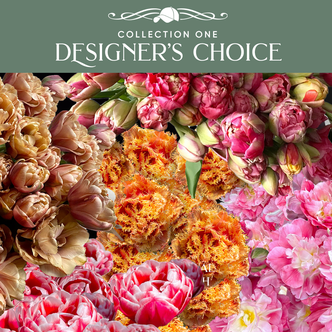 *Collection 1: Designer's Choice