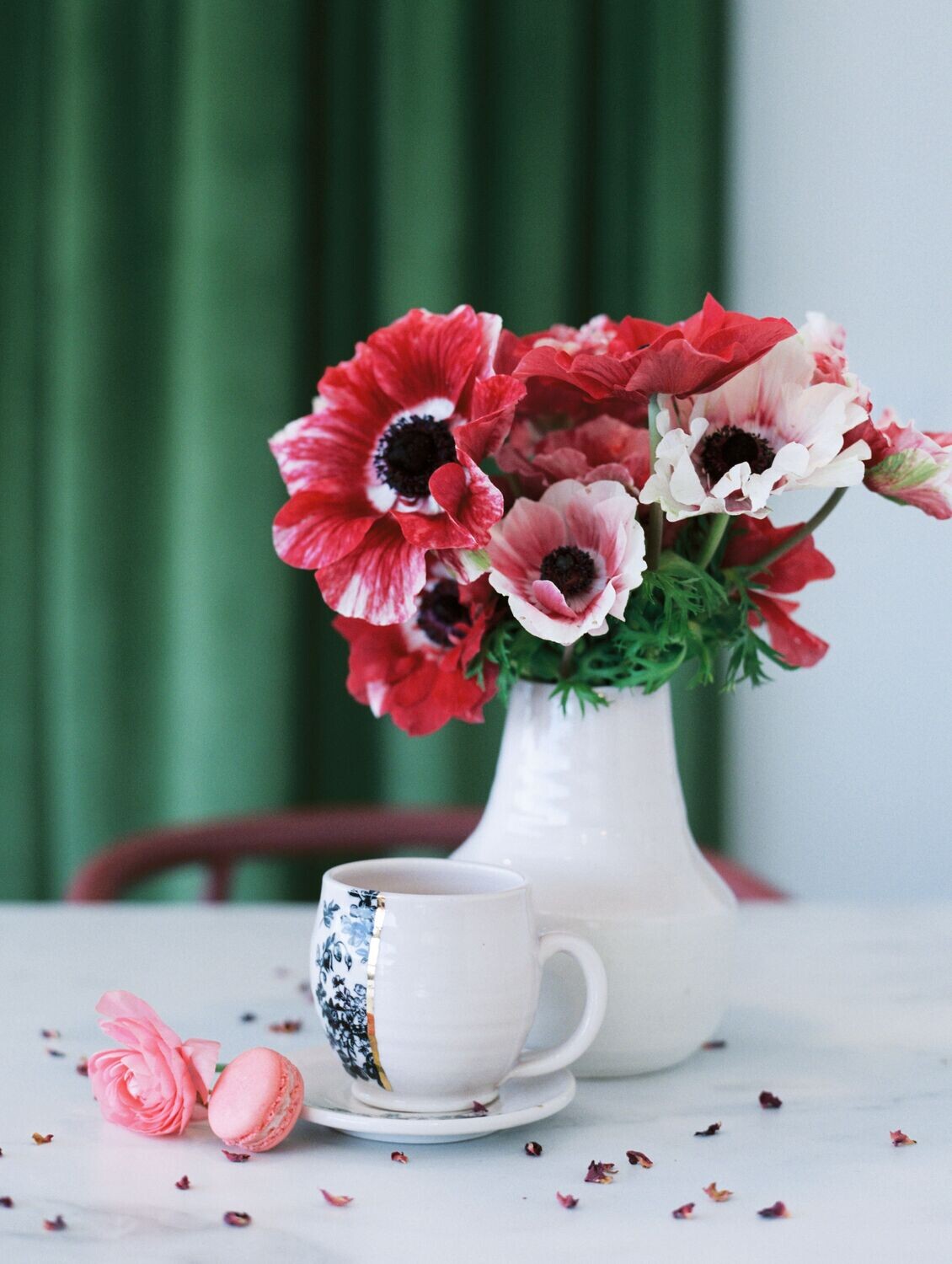 Anemone Red & White Pack of 20