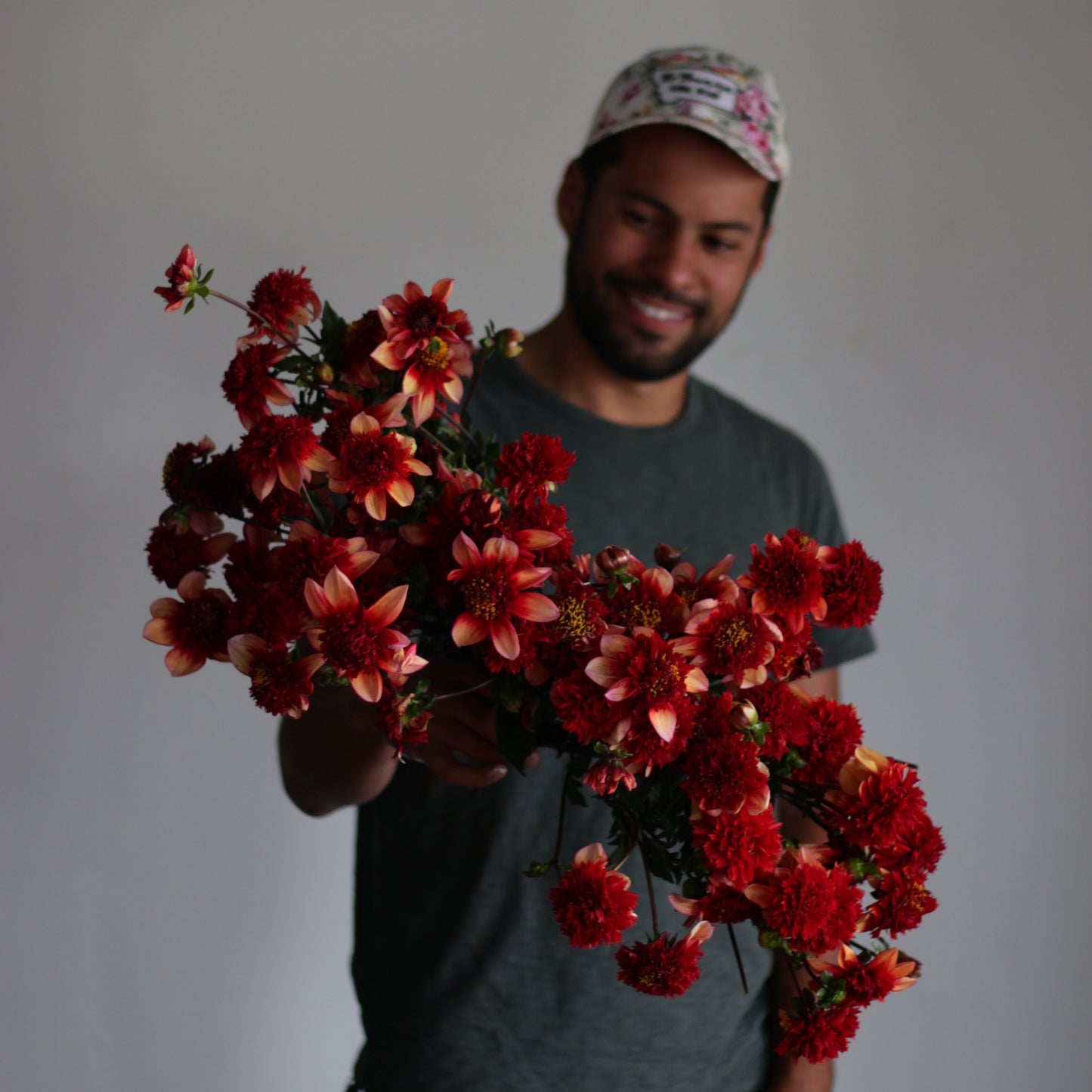 gitty up, dahlias, dahlia tubers