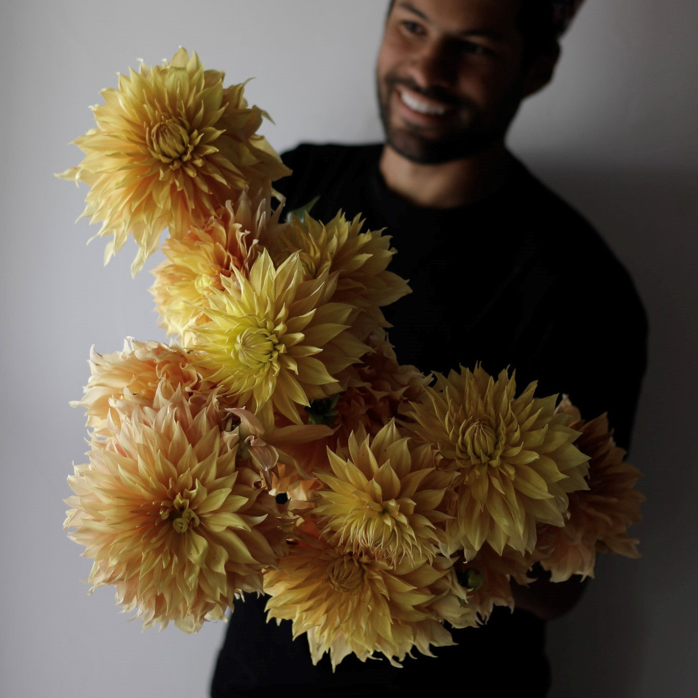 hamari gold, dahlias, dahlia tubers