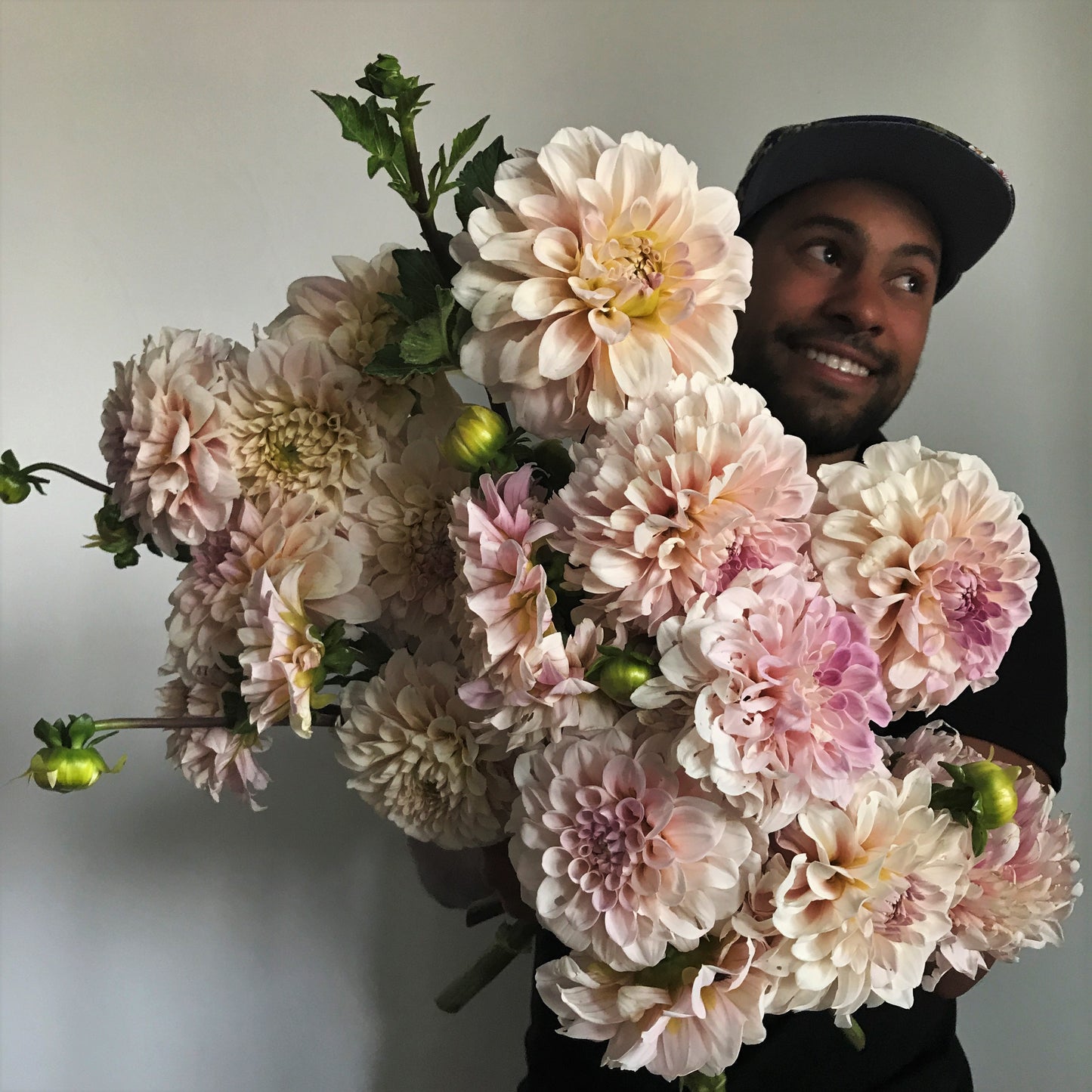 sweet nathalie, dahlias, dahlia tubers