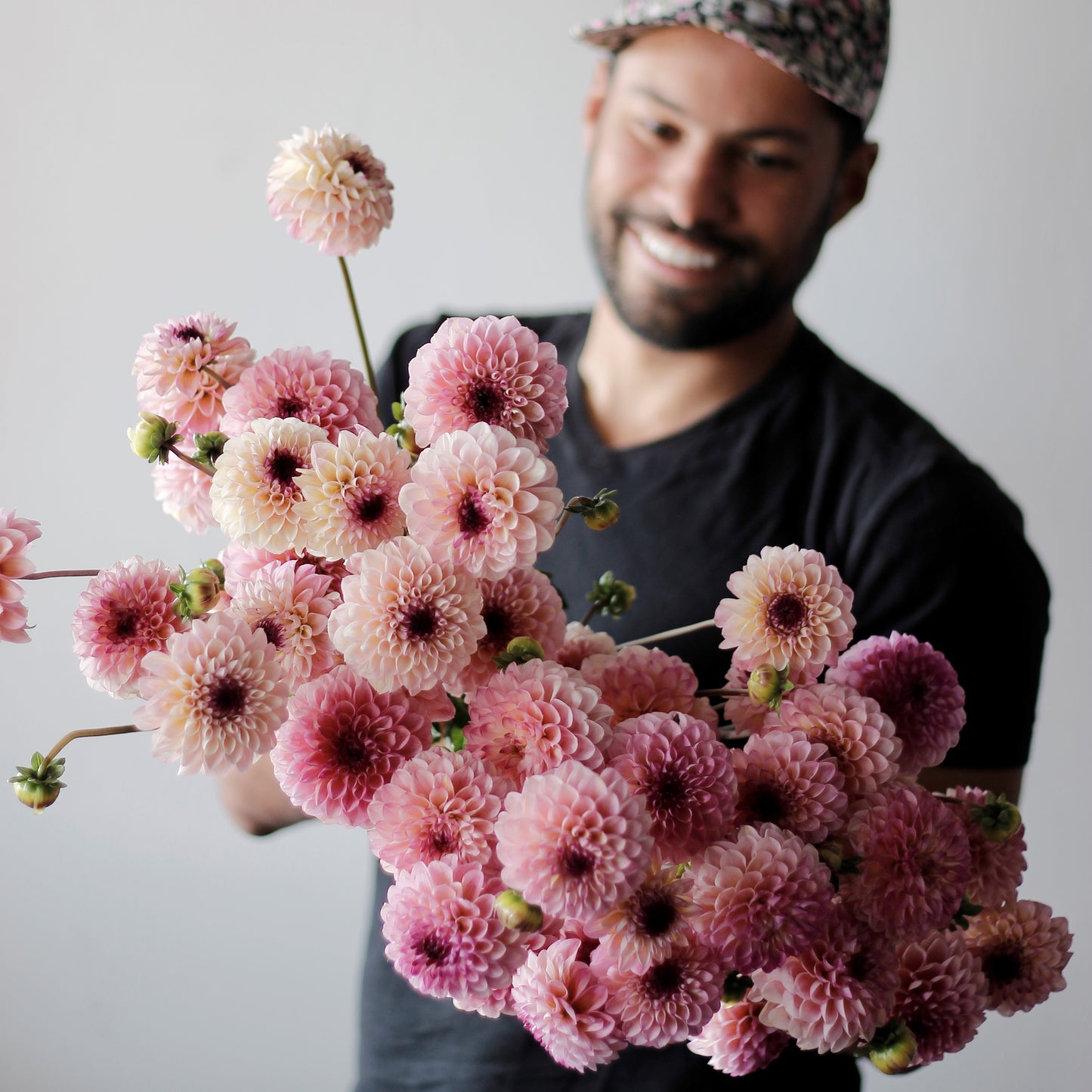 wine eyed jill, dahlias, dahlia tubers