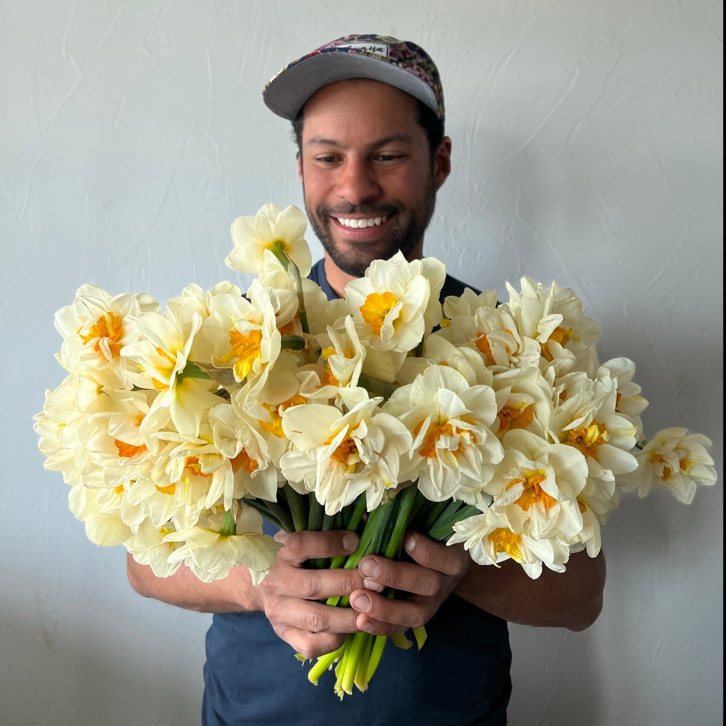 flower drift, daffodil, fall bulbs