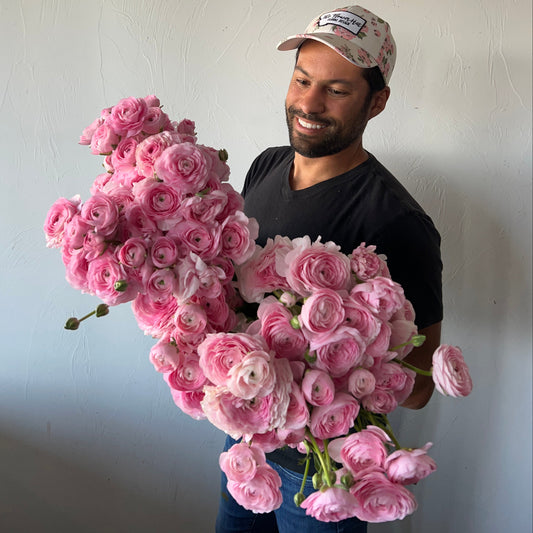 Ranunculus Pink - Pack of 20