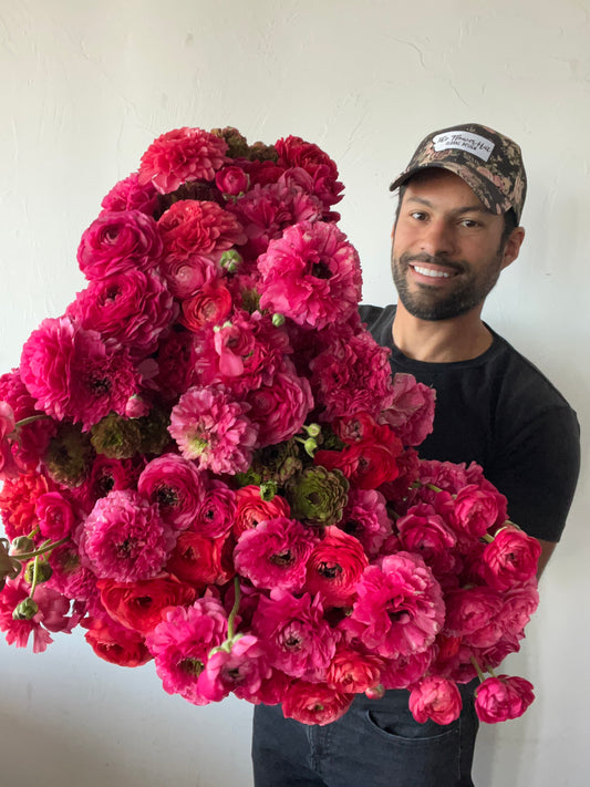 Ranunculus Super Green Rose Pack of 20