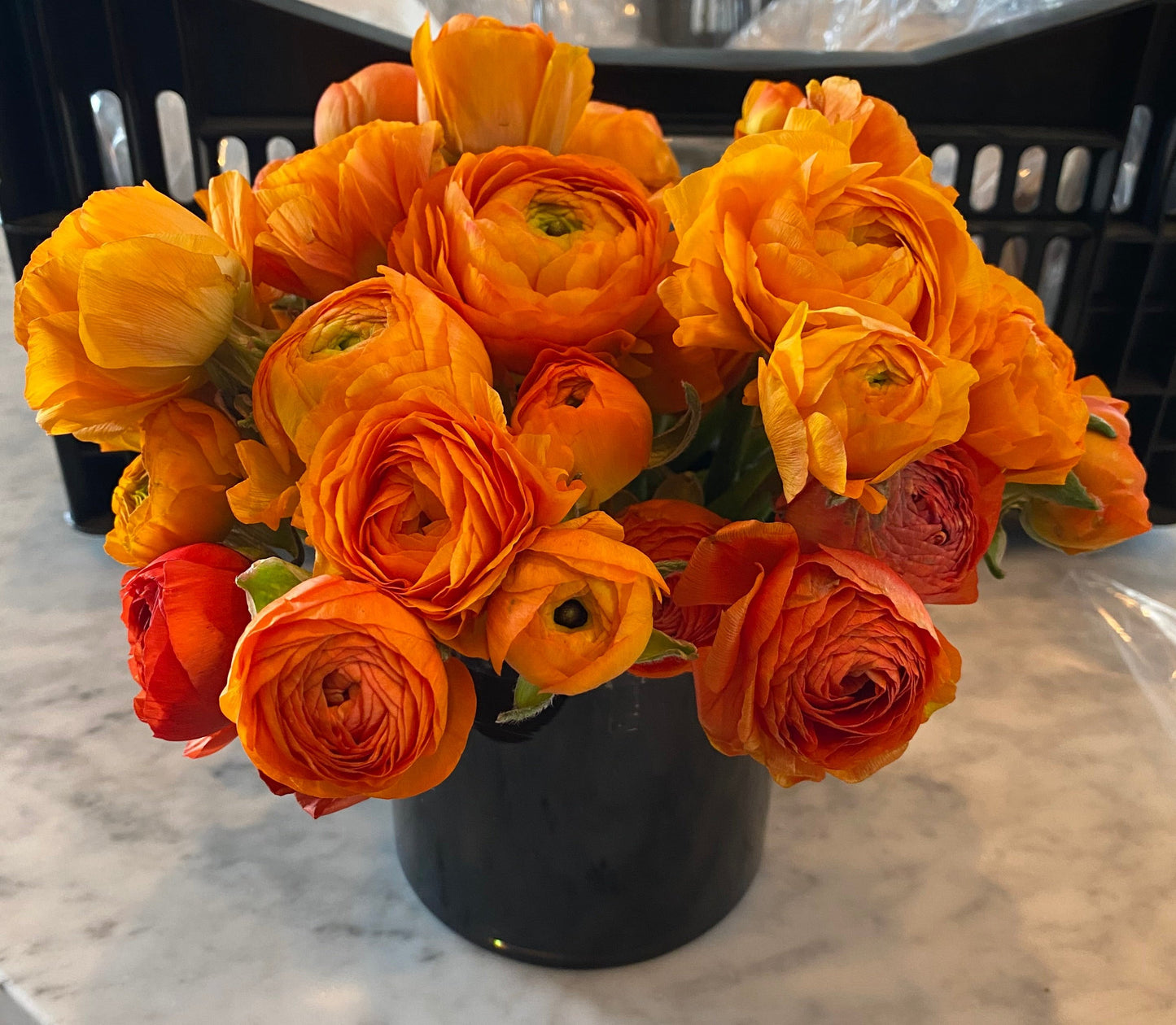 Ranunculus Orange Pack of 20