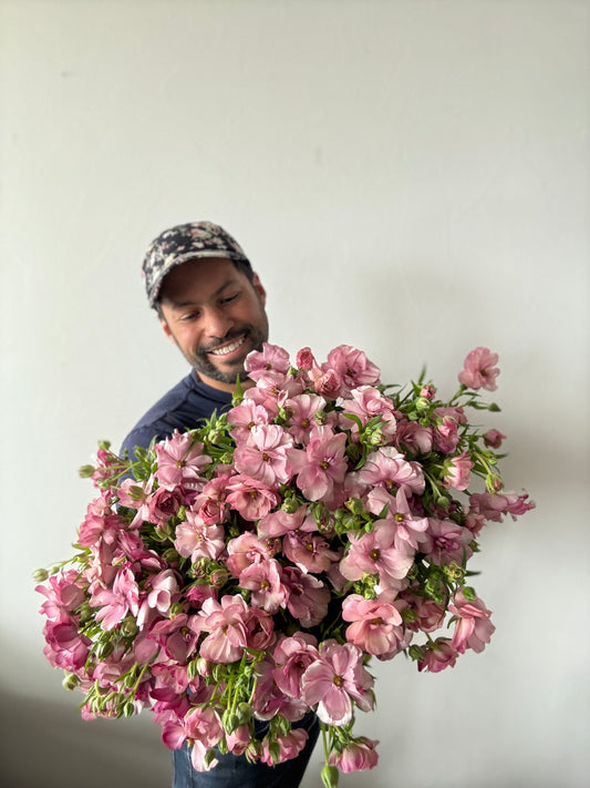 Ranunculus Butterfly Thiva Pack of 5