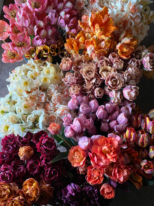 Bundle - Julio's Spring Dream Garden - 100-Bulbs