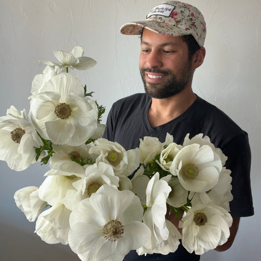Anemone White and Green - Pack of 20