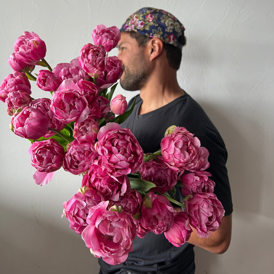 Tulip Amazing Grace - Pack of 20