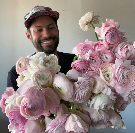 chamallow, fall bulbs, ranunculus