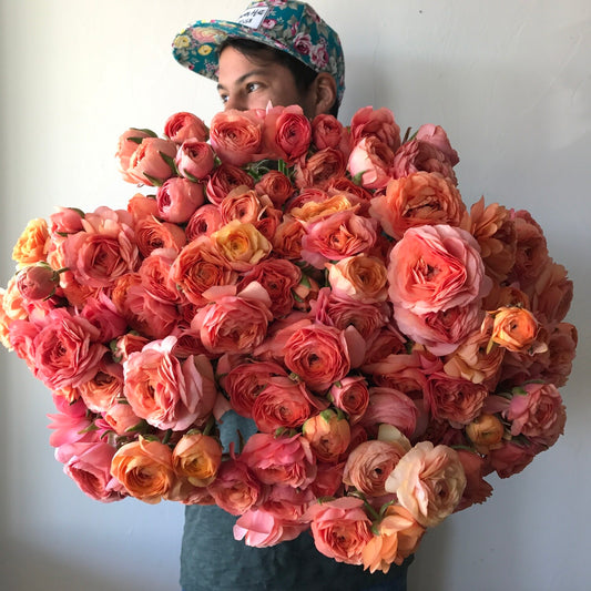 Ranunculus Salmon Pack of 20